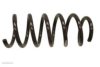 OPEL 4411803 Coil Spring